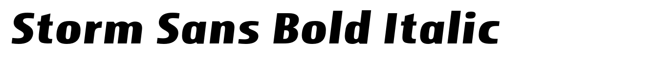 Storm Sans Bold Italic